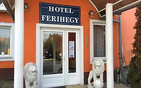 Hotel Ferihegy